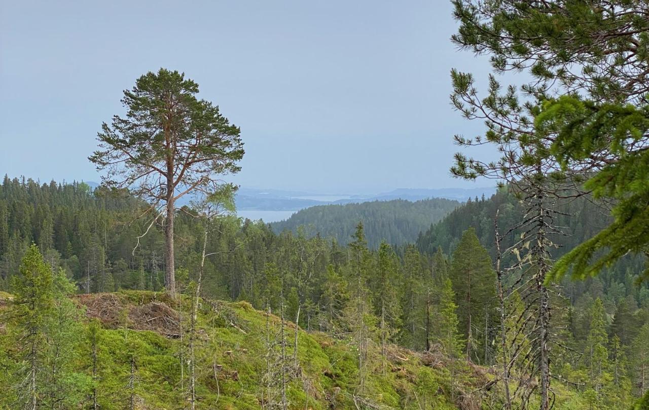 Fjellstad Gard - 2 Minutes From E6 And 5 Minutes Drive From Steinkjer City Villa Exterior photo