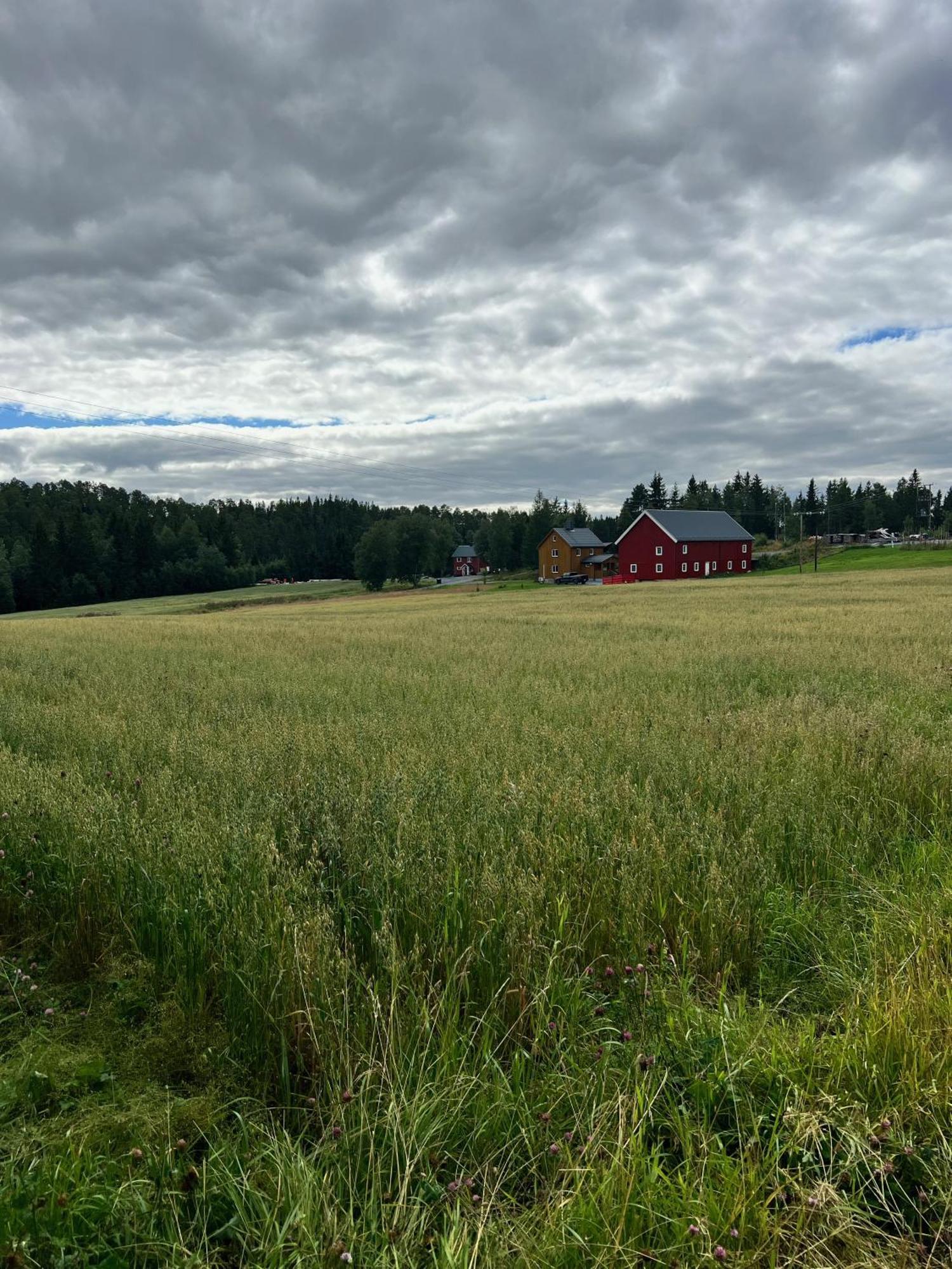 Fjellstad Gard - 2 Minutes From E6 And 5 Minutes Drive From Steinkjer City Villa Exterior photo