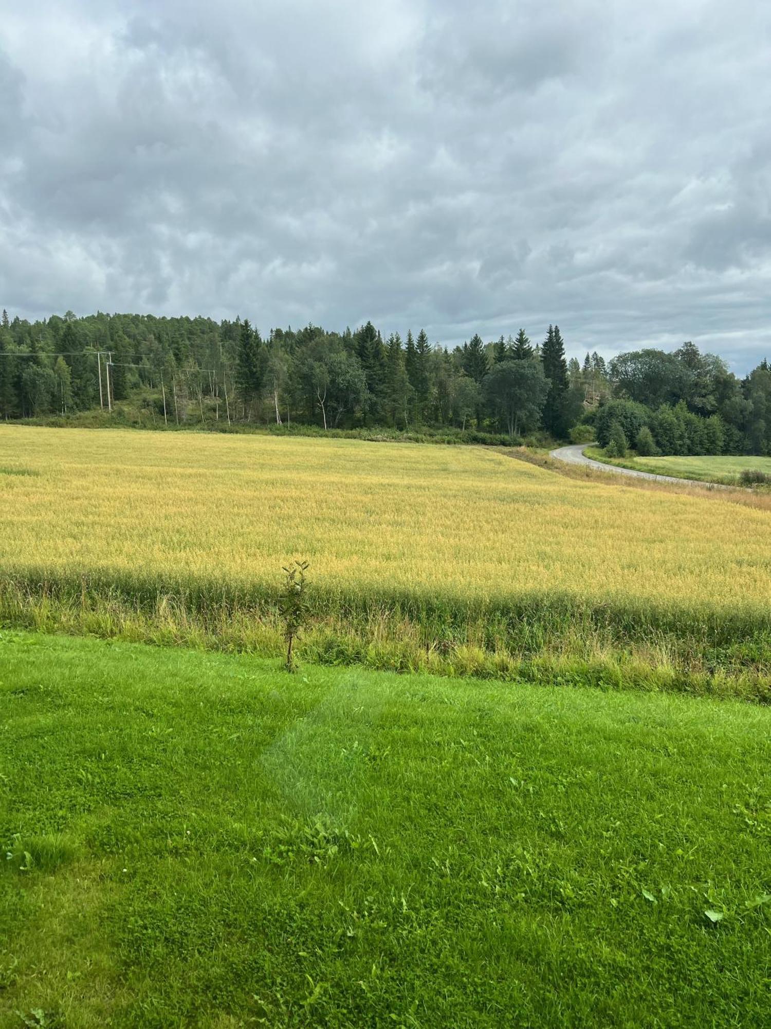 Fjellstad Gard - 2 Minutes From E6 And 5 Minutes Drive From Steinkjer City Villa Exterior photo